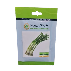 بذر سبزی پیازچه برند بذر طلایی رویان